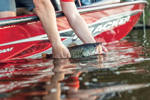 Fotogaléria TRACKER Pro Team™ 175 TXW