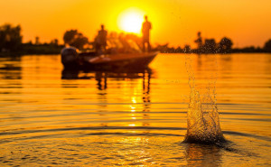 Fotogaléria Finval  505 FishPro DC JS