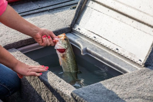 Fotogaléria TRACKER  Pro 170