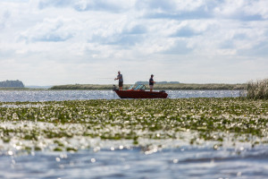 Fotogaléria Finval 475 Evo DC SP